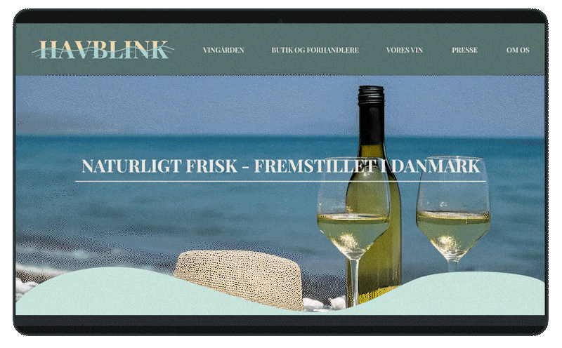 A gif showing Havblink's website